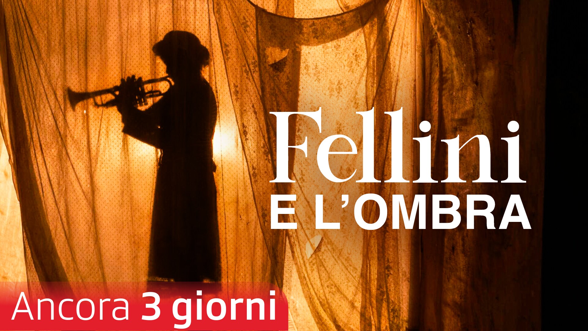 Fellini e l'ombra